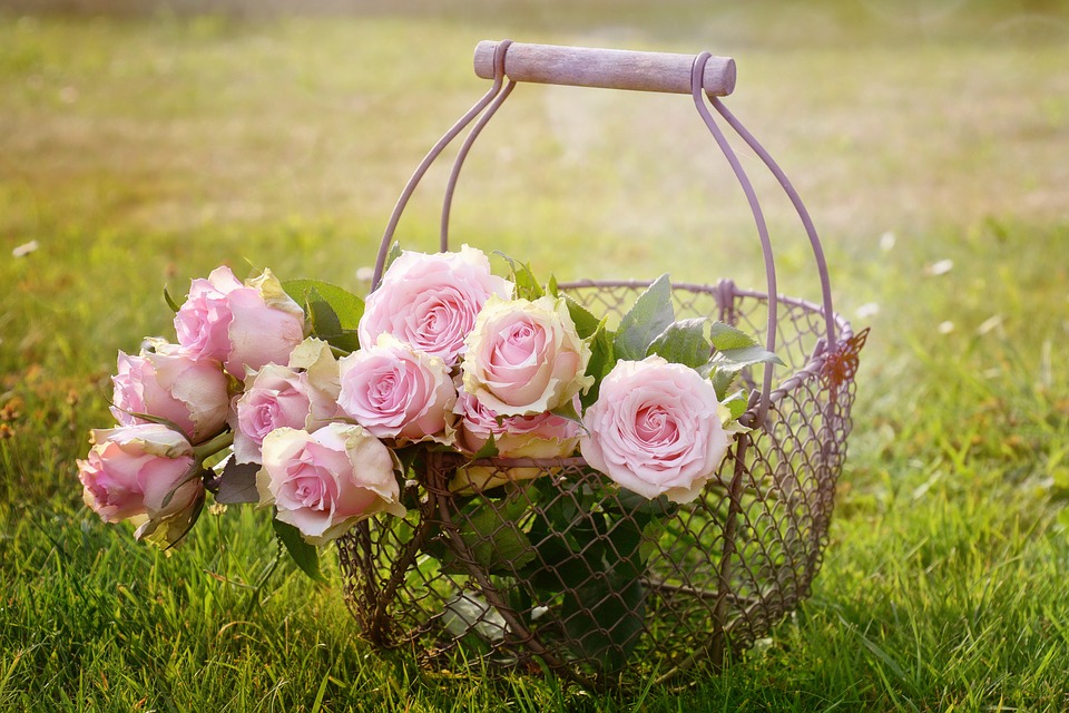 blomster